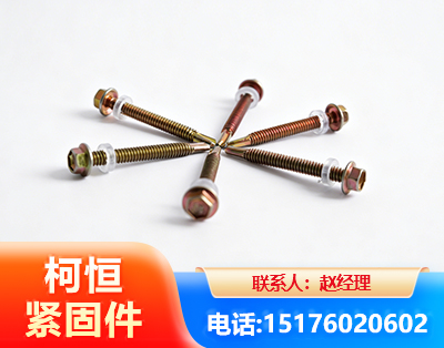 泰安六角钻尾丝