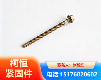 泰安六角钻尾丝