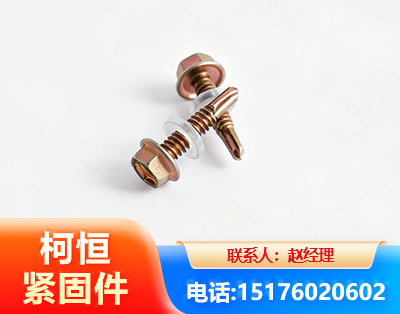 泰安六角钻尾丝